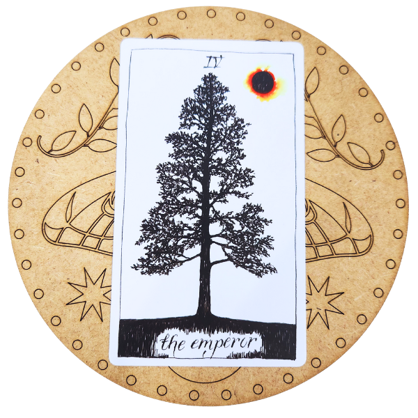 Moth & Moon Tarot Card of the Day Board🌙🦋✨