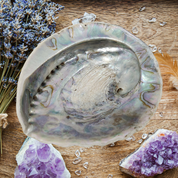 Ocean’s Embrace Abalone Shell