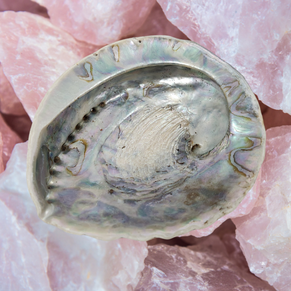 Ocean’s Embrace Abalone Shell
