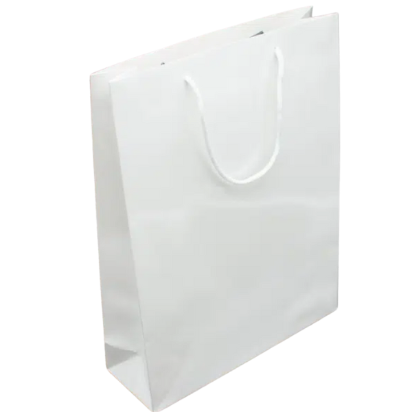 Paper Gift Bag