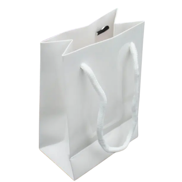 Paper Gift Bag