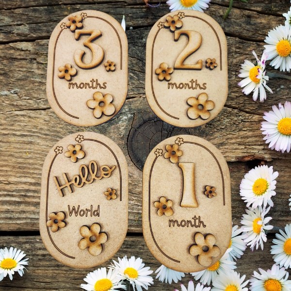 Daisies Baby Milestone Disc Set