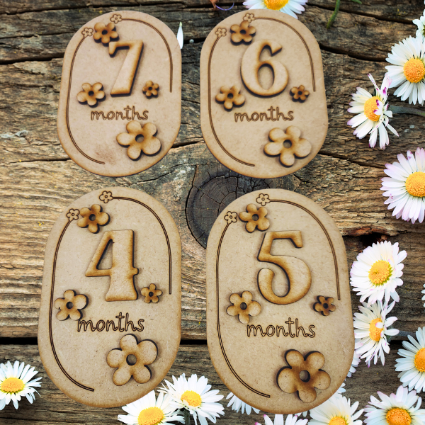 Daisies Baby Milestone Disc Set