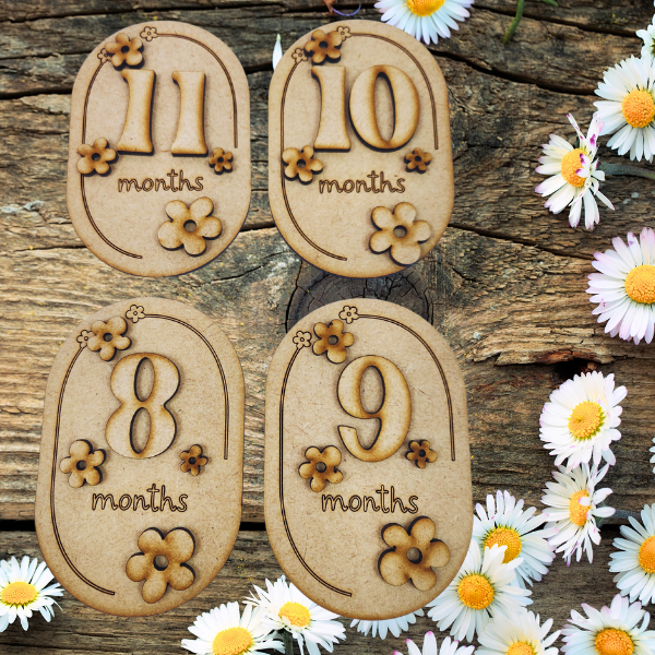 Daisies Baby Milestone Disc Set