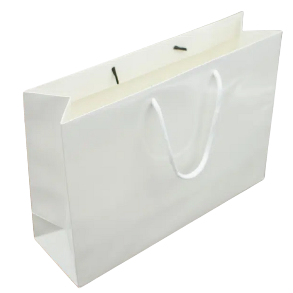 Paper Gift Bag