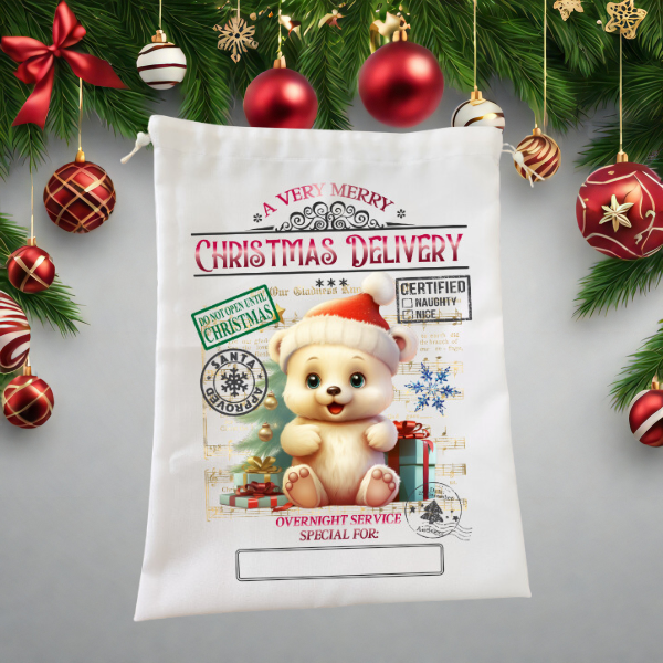 Santa Bag - Christmas Delivery From A Cute Teddy Bear