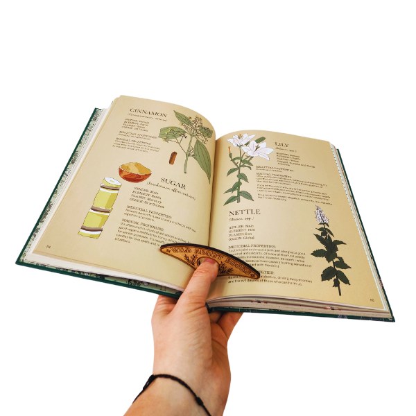 Wild About Books Book Page Holder