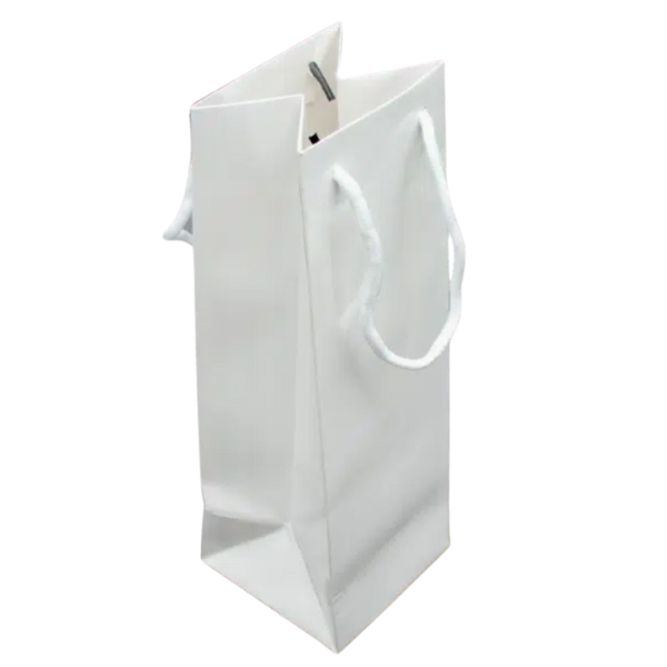 Paper Gift Bag